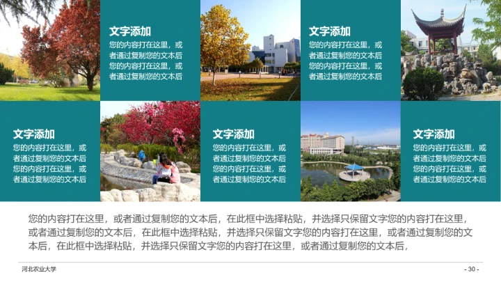 河北农业大学专属学术汇报毕业答辩通用PPT模板