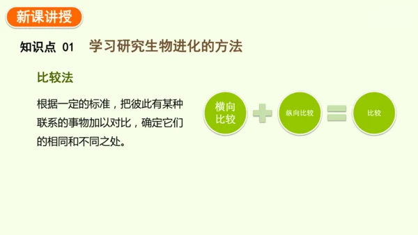 7.3.2生物进化的历程-八年级生物人教版下学期同步精品课件(共34张PPT)