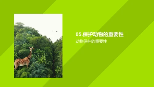 动物世界的奥秘
