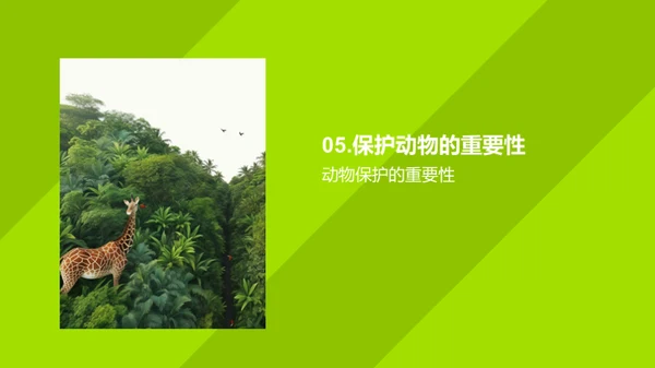 动物世界的奥秘