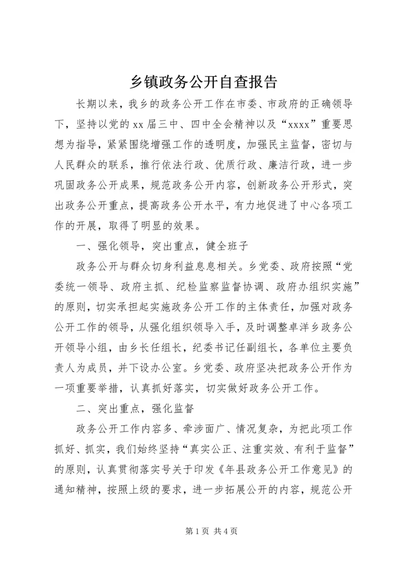 乡镇政务公开自查报告.docx