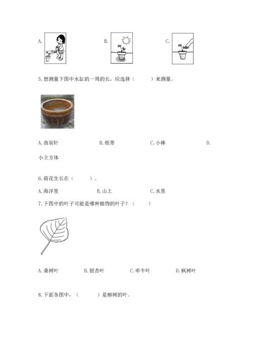 教科版一年级上册科学期末测试卷往年题考.docx