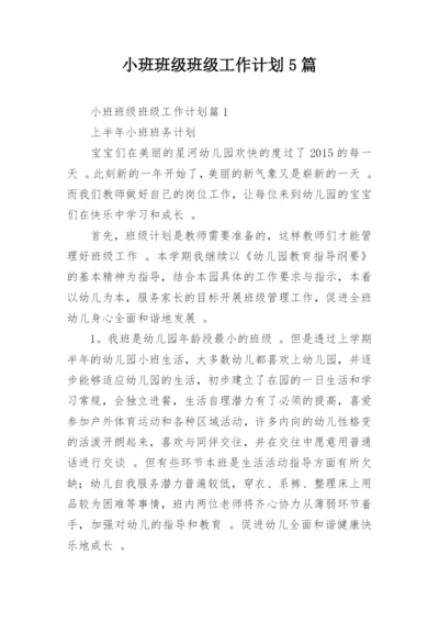 小班班级班级工作计划5篇.docx