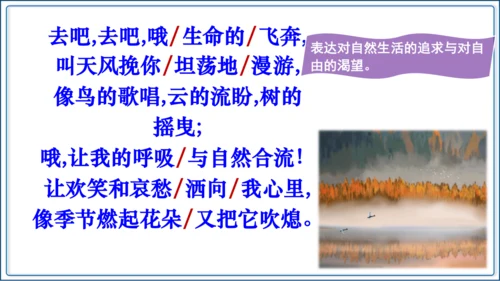 6《我看》【2024秋统编九上语文精彩课堂教案（精品课件）】