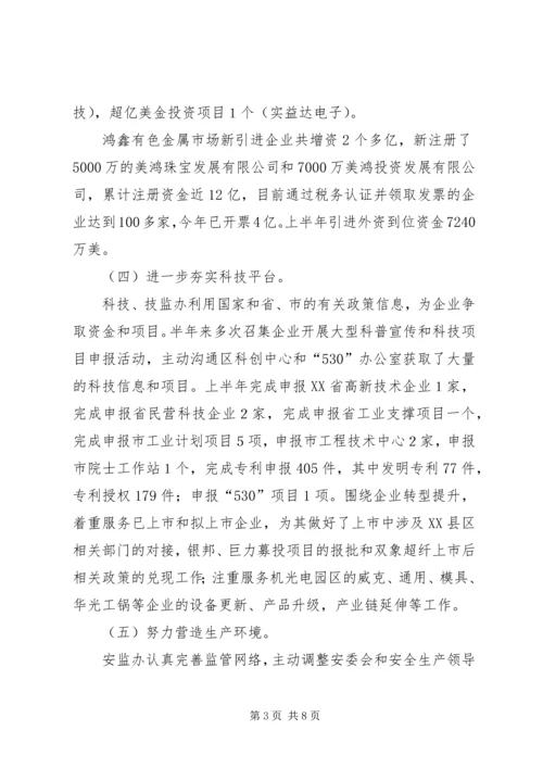 经贸办上半年工作总结与下半年工作计划精编.docx