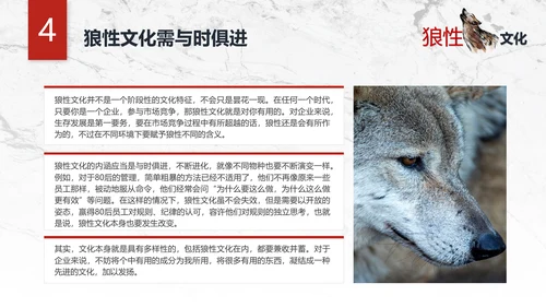 团队企业文化狼性文化员工培训PPT