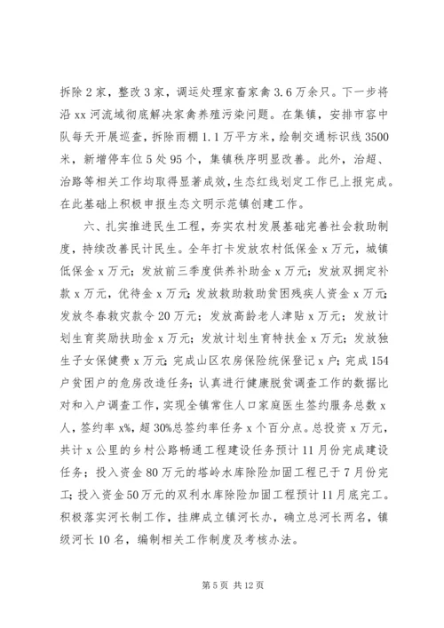 乡镇某年工作总结和某年工作安排.docx