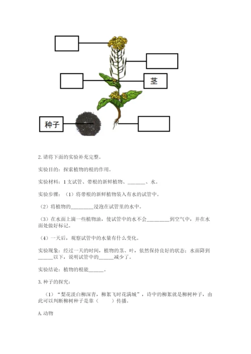 科学四年级下册第一单元《植物的生长变化》测试卷及答案【考点梳理】.docx