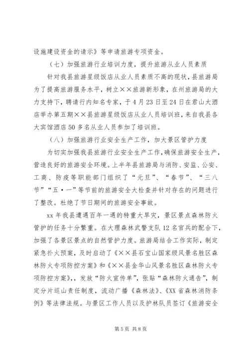 旅游事业局上半年工作总结及下半年工作计划计划.docx