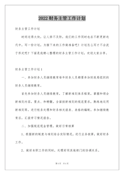 2022财务主管工作计划.docx