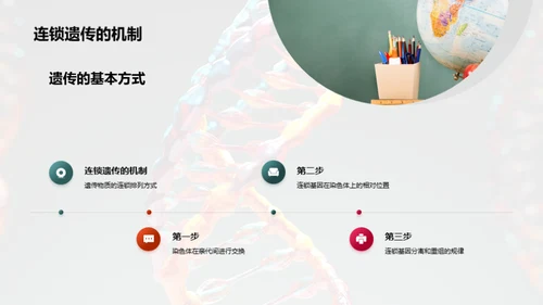 基因世界的探索之旅