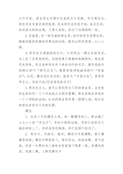 形容各种花的句子与词语.docx