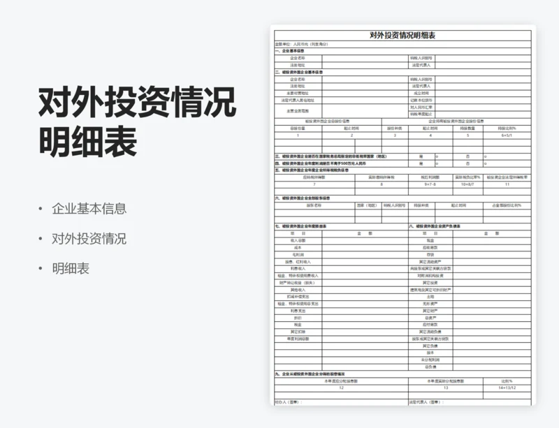 对外投资情况明细表