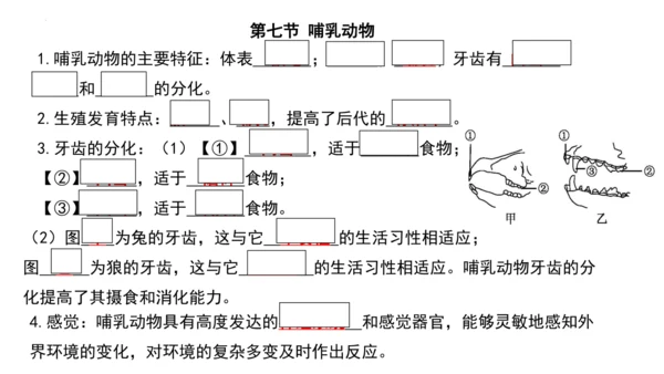人教版生物八年级上册期末考试知识点汇总（课件）(共28张PPT)