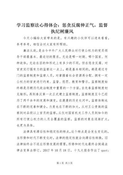 学习监察法心得体会：惩贪反腐伸正气，监督执纪树廉风.docx