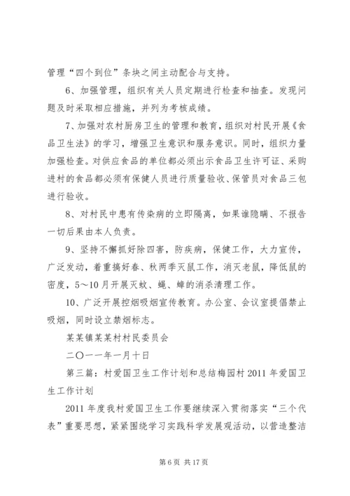村爱国卫生工作计划.docx