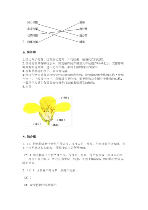 教科版四年级下册科学第一单元《植物的生长变化》测试卷精品（精选题）.docx