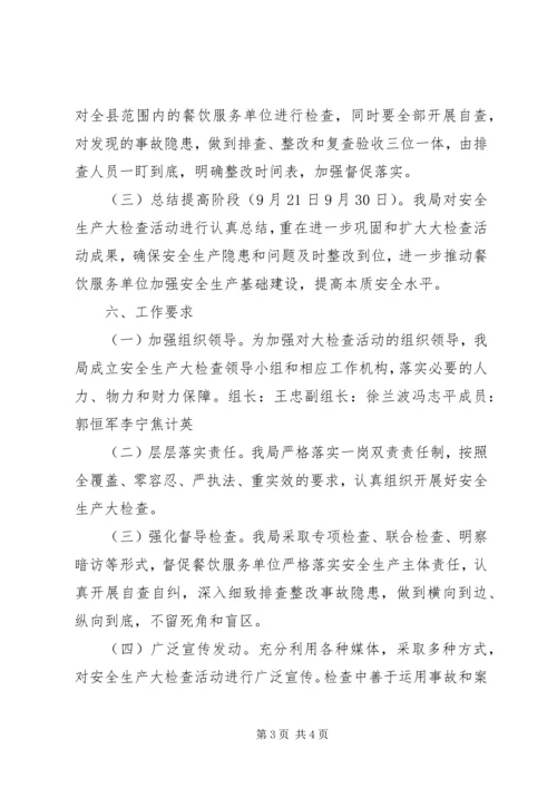 药品安全生产检查方案.docx