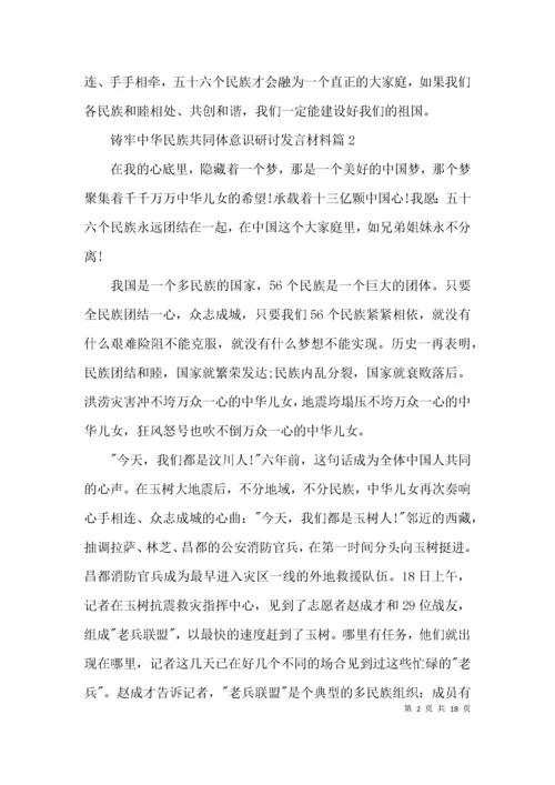 （精选）铸牢中华民族共同体意识研讨发言材料范文(通用11篇).docx