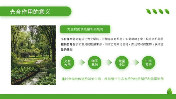 绿色清新风植物的光合作用PPT模板
