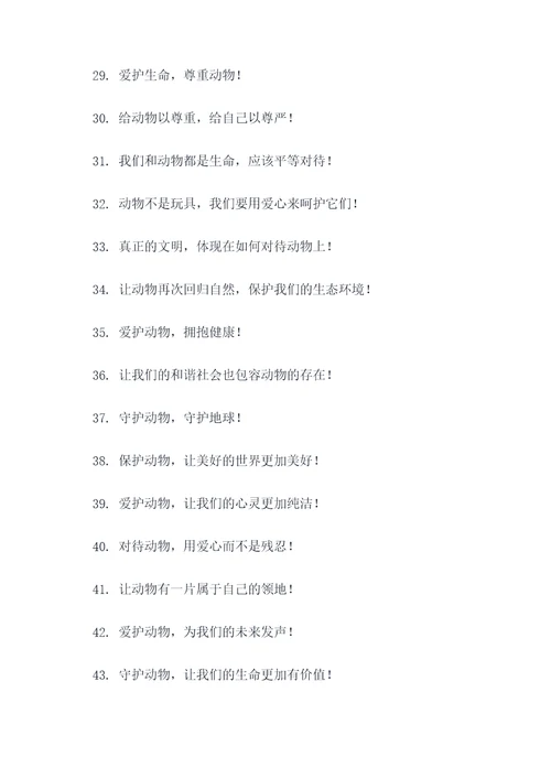 动物朋友宣传标语大全