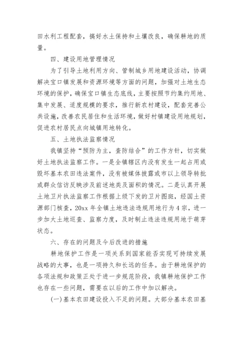 耕地保护责任目标自查报告.docx