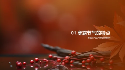 寒露节气商业解析