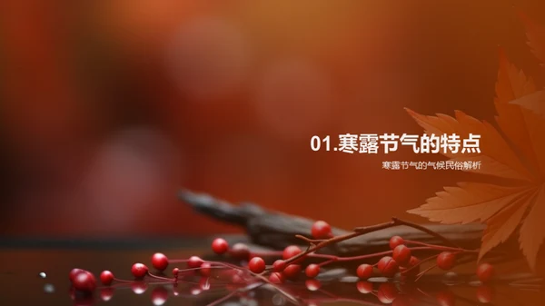 寒露节气商业解析