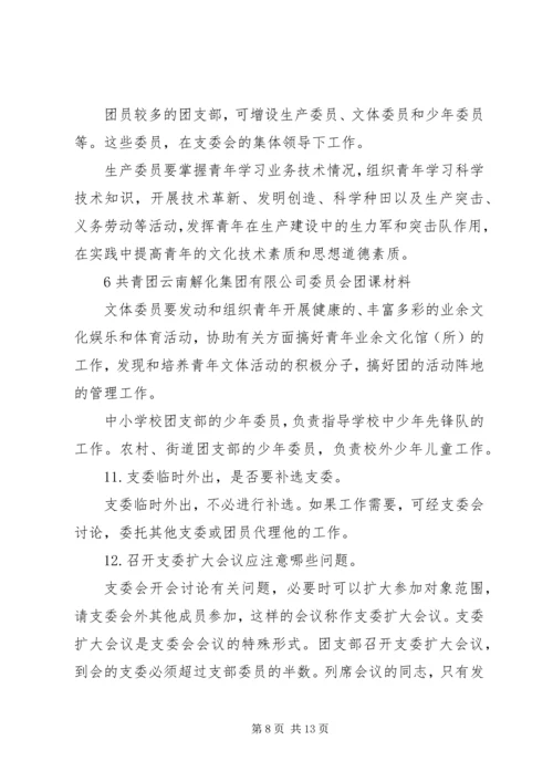 关于共青团中学支部委员会书记职务任命的请示.docx