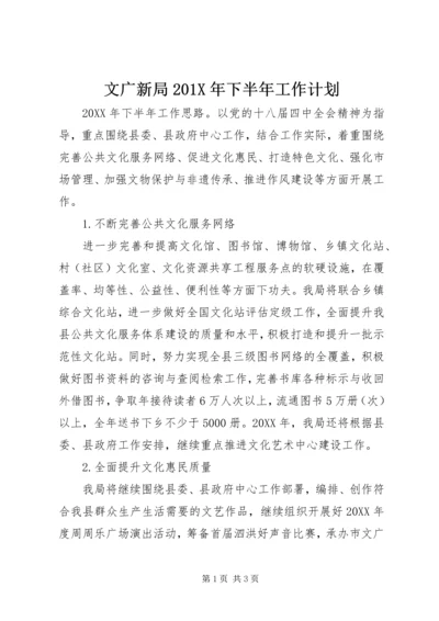 文广新局201X年下半年工作计划.docx