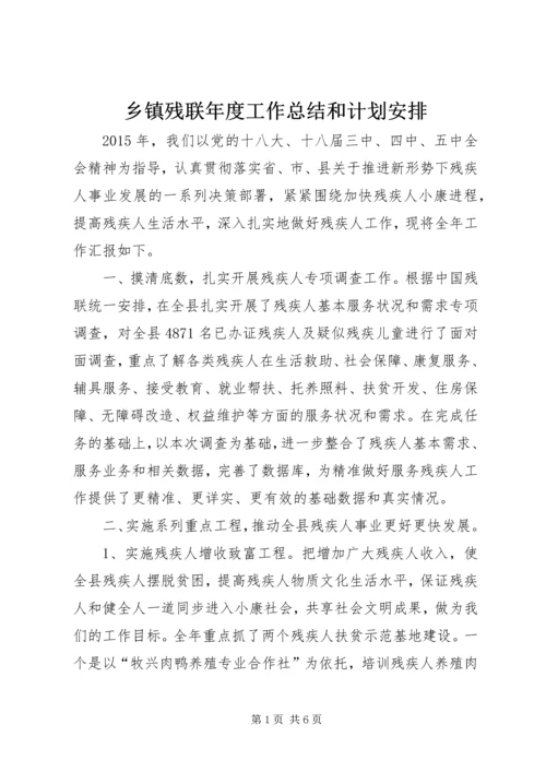 乡镇残联年度工作总结和计划安排.docx