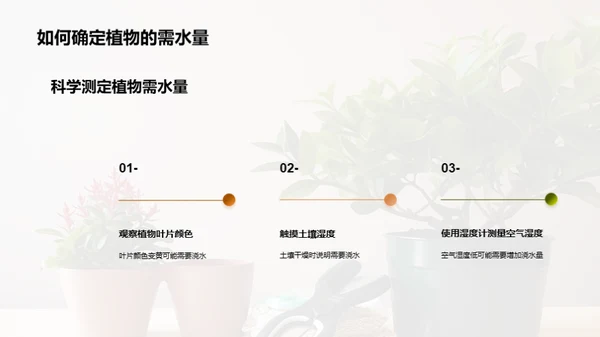 植物养护：小白到专家之路