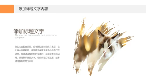简约风宠物店商业计划书爱宠猫咪PPT模板