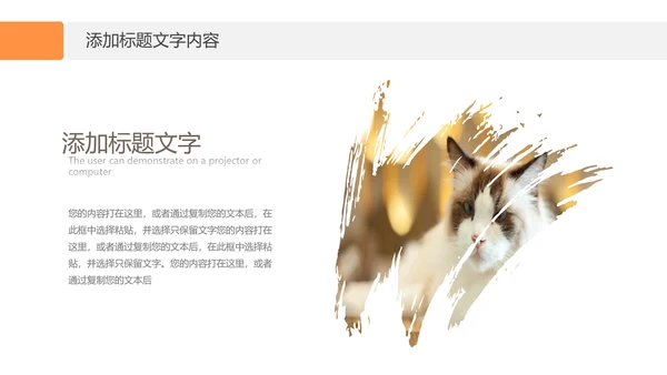 简约风宠物店商业计划书爱宠猫咪PPT模板
