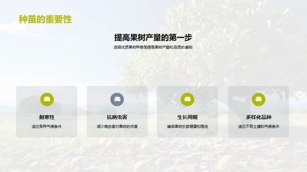 高效果园：种植与增益指南