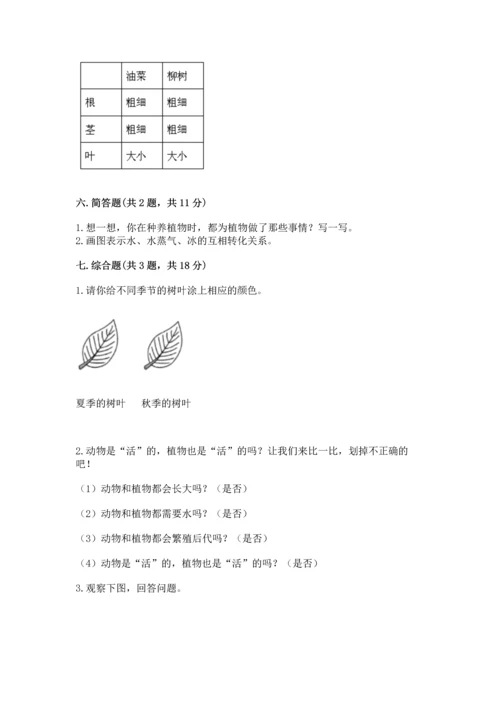 教科版科学一年级上册第一单元《植物》测试卷及完整答案【考点梳理】.docx