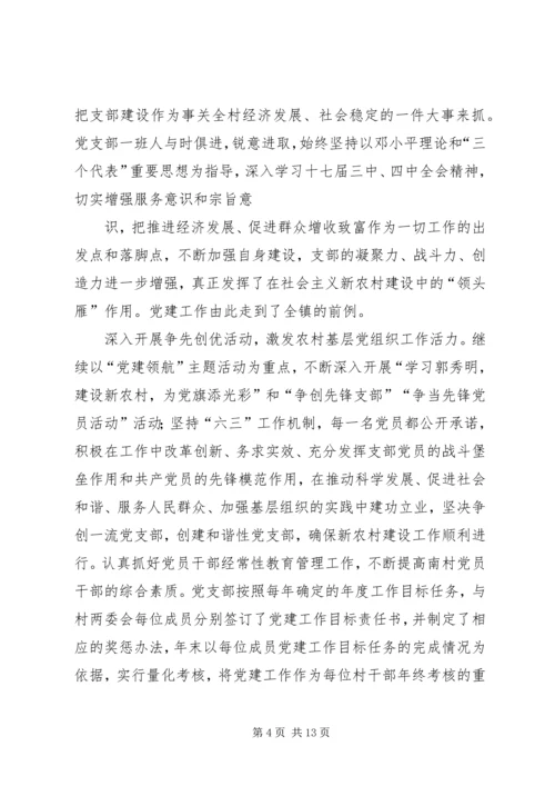 村党支部先进事迹材料 (5).docx