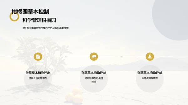 柑橘栽培的科技革新