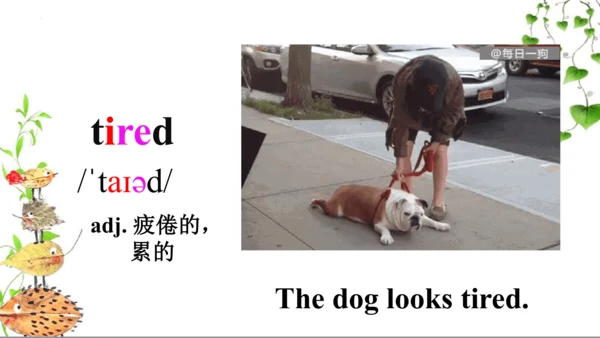 Module 8 Unit 2 Where did you go yesterday？  课件（共3