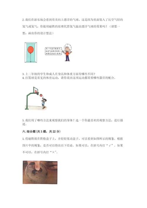 教科版小学科学二年级下册 期末测试卷（名师系列）.docx