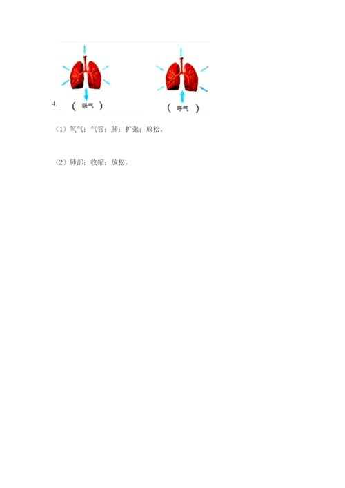 教科版四年级上册科学期末测试卷加答案解析.docx