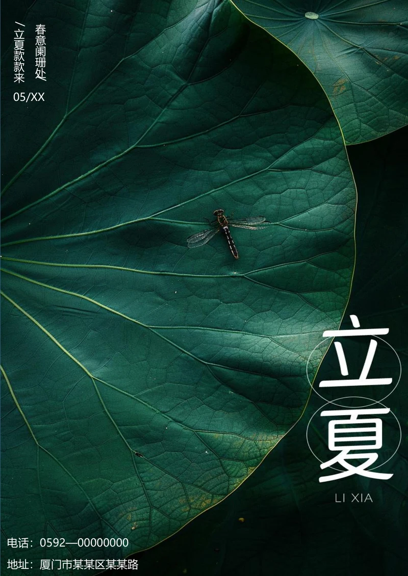 立夏款款来唯美节气海报