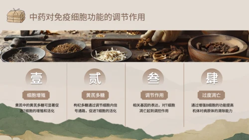 浅棕色中国风中医药对免疫系统调节PPT