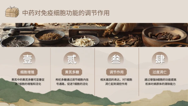 浅棕色中国风中医药对免疫系统调节PPT
