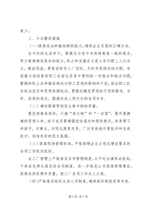 公司班子成员民主生活会剖析材料.docx