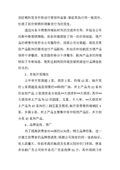 促销员个人半年度工作总结三篇