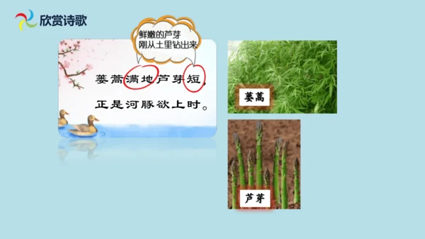 1 古诗三首  惠崇春江  晚景   课件