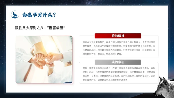 蓝色简约商务风如何打造狼性团队企业培训PPT模板团队建设