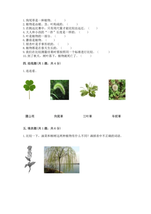 教科版科学一年级上册期末测试卷word版.docx