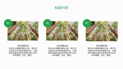 携手建设绿色家园通用PPT模板